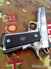 Para Ordnance P 14-45 .45 ACP