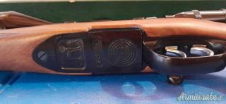 Steyr Mannlicher L .243 Winchester