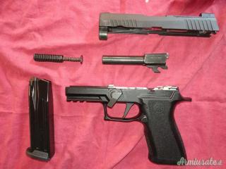 SIG-Sauer P320 X CARRY 9x21mm IMI
