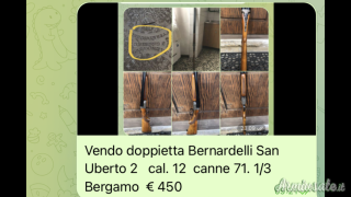 Bernardelli SanUberto 2 12