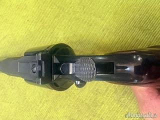 Colt Python 6