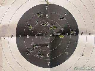 SIG Sauer P320, Full Size, Sportiva, 9x19 (9 Parabellum)