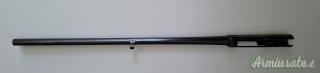Canna Benelli Saint Etienne 65 cm 2 stelle