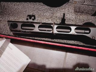 Ppsh snow Wolf scarrelante