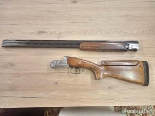Rizzini Emilio AT.620 GARA 12