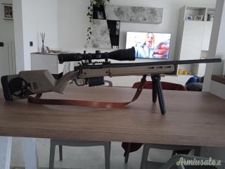 Remington 700 .308 Winchester