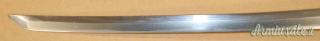 Wakizashi Giapponese inizio 1600' (Shinto)