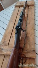 Springfield 1903