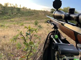 Sauer 202 L .243 Winchester