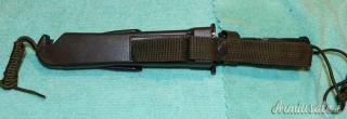 Coltello Survival