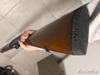 Browning A5 12