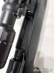 Blaser R8 Professional  6.5x68mm  | RWS | Sch