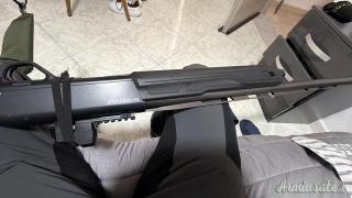 Winchester Sx4 12