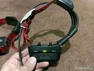 COLLARE GARMIN tt15