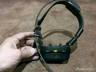 COLLARE GARMIN tt15