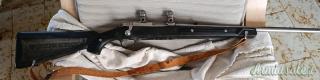 Ruger | Sturm  .22 Long Rifle