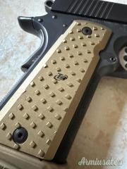 Kimber custom TLE ii .45 ACP