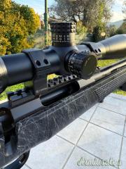 Sabatti Tactical evo in 308 Win.