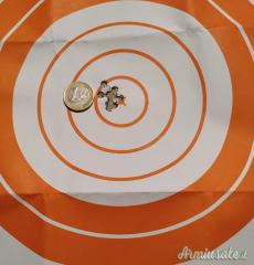 Armi Dallera Custom diamondback M4 DB 15 .223 Remington
