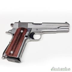 Para Ordnance P14.45 .45 ACP