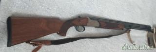Rizzini Ares 20