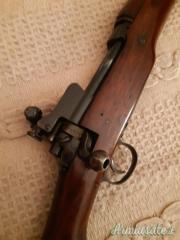 CEDO FUCILE P17 CON DIOTTRA PARKER HALE