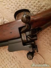 CEDO FUCILE P17 CON DIOTTRA PARKER HALE
