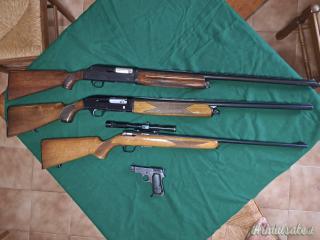 Beretta  12