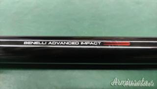Benelli RAFFAELLO LIMITED EDITION  12