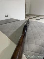 Beretta 301