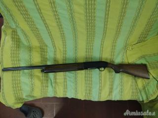 Beretta A301 12