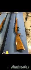 Beretta Weaterby  .22 Long Rifle