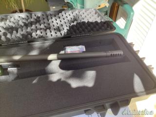 Sako TRG 22 .308 Winchester