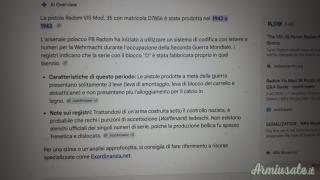 RADOM VIS MOD.35