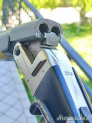 Express Artem 460 S&W mag.