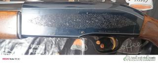Beretta 301 12