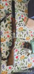 Franchi Falconet  12
