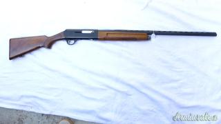 Franchi semiauto 20