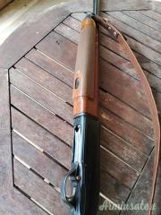 Beretta 303 12